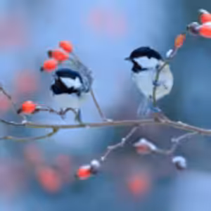 HOROSKOPY: Raci, dnešek přeje rozličným životním průlomům. Jedni mají šanci na lásku, jiní prožívají zklamání