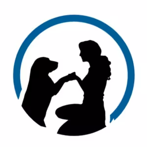 #41 Vychováváte psa správně? Elektrický obojek ano / ne?