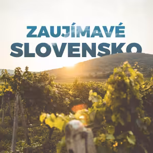 Jazdíte po diaľnici na východ? Pri Spišskom štvrtku sa pozrite doprava, uvidíte tam najpozoruhodnejší objav na Slovensku