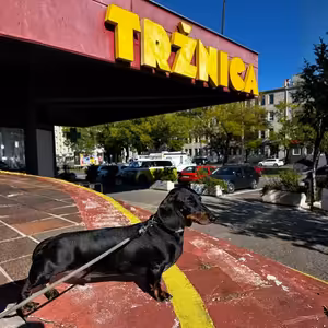 S13E8: SVETOVÉ TRŽNICE - Z nákupov zážitky