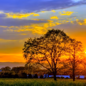 Dopoludnie na Infovojne s Adrianom 23.8.2023