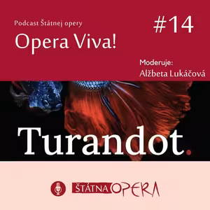 Opera Viva! #14: TURANDOT – stručný sprievodca Pucciniho operou