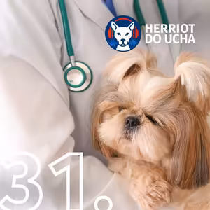 #31 Veterináři bez hranic - MVDr. David Modrý, Ph.D.
