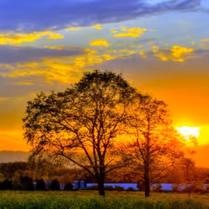 Dopoludnie na Infovojne s Adrianom 11.8.2022