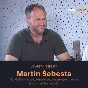 Martin Šebesta – vinař: Když všichni budou experimentovat stejným směrem, já v tom směru nebudu