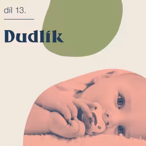 # 13 Dudlík