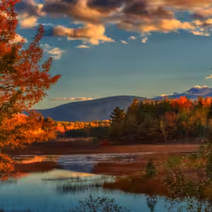 Dopoludnie na InfoVojne s Adrianom 12.11.2025