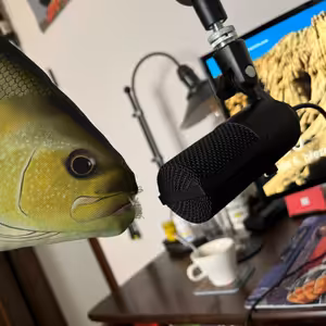 Vracím slovo do studia 2.díl