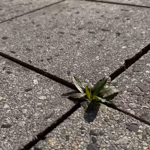 O potenciálu, okamžitém zlepšení a dlouhodobém zlepšování