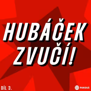 #3 Tomáš Hubáček