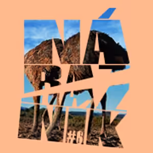 NÁRAZNÍK #6 / Sebaklamy