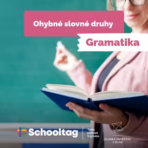 #Gramatika - Ohybné slovné druhy