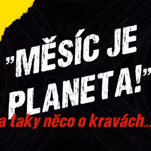 Jak chytré máme politiky a co mají umět?
