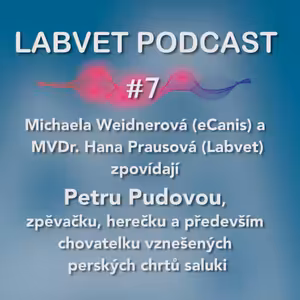 O salukách s Petrou Pudovou