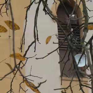 Služby Božie 8. 11. 2020 | Aby ste neboli bez nádeje