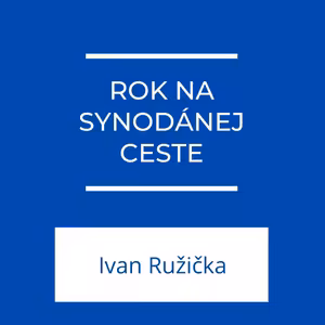 Rok na synodálnej ceste | Jeden na jedného