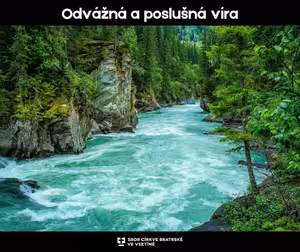 Kázání: Paul Till - Odvážná a poslušná víra