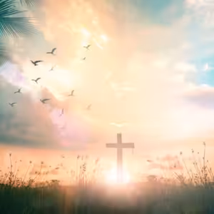 Muž se vyléčil z cukrovky a vysokého krevního tlaku.