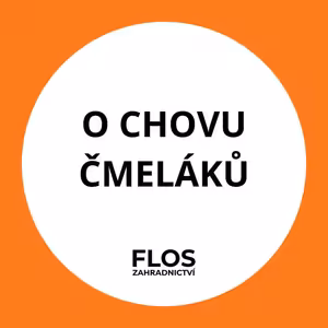 O chovu čmeláku