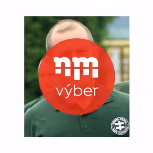 Výber NM: Predseda krajne pravicovej strany bol odsúdený za použitie nacistickej symboliky