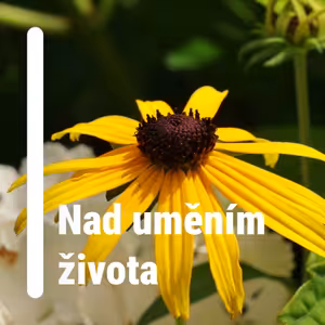 Nad uměním života