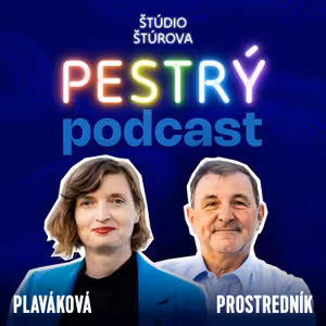 #136 Budou jednodenní volby?