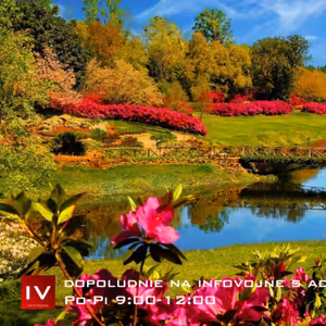 Dopoludnie na Infovojne s Adrianom 30.5.2022