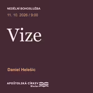 Vize - Daniel Helešic
