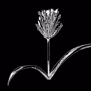 etc. galerie: Představy komunity II, Sdílení krajiny (Lukáčová, Arsanios, Dušek, Neves Marques)