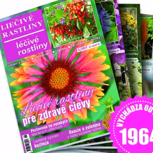 Liečivé rastliny 02 Dýchací systém