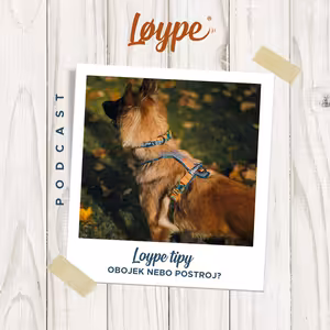 118 | Postroj nebo obojek? | Loype tipy