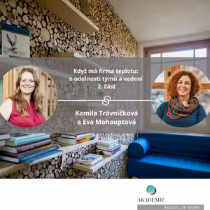 Když má firma teplotu: o odolnosti týmů a vedení 2. část