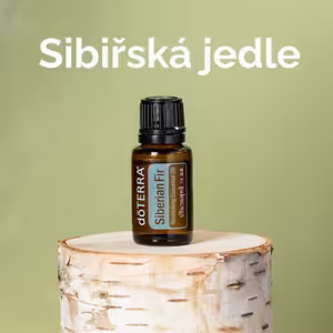 🌿🎙️ Objevte sílu Sibiřské jedle 🌲
