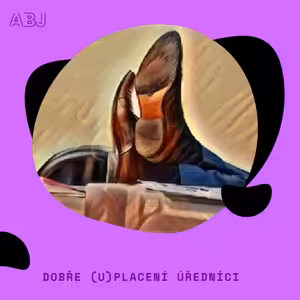 Dobře (u)placení úředníci