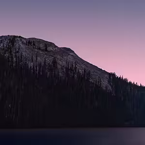 PARADISE