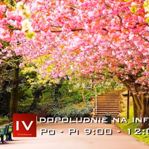 Dopoludnie na InfoVojne s Adrianom 19.5.2026