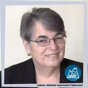 Určení dne krytí feny, reprodukce psů