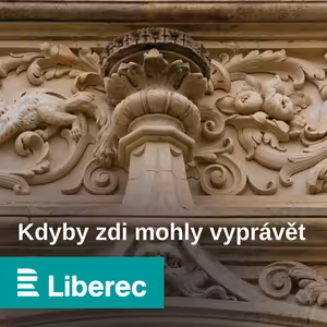 Kdyby zdi mohly vyprávět