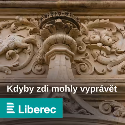 Kdyby zdi mohly vyprávět