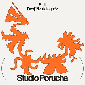 Studio Porucha 5.díl: Dvojí život diagnóz