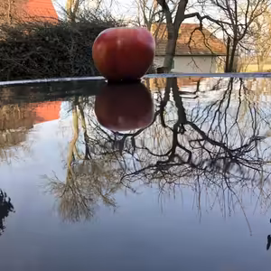 Kampaň KlímaTYzuj sa nás naučí ako sa lepšie správať k životnému prostrediu