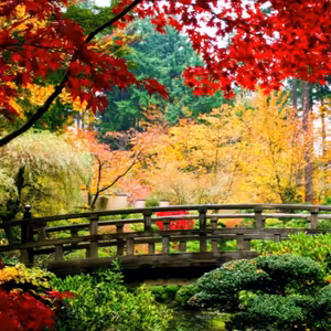 Dopoludnie na Infovojne s Adrianom 3.5.2024