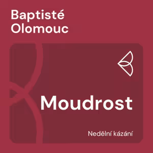 Moudrost (10.11.2024)