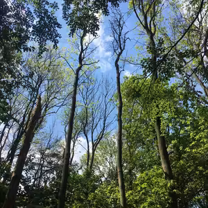 Aromaterapie na podzim