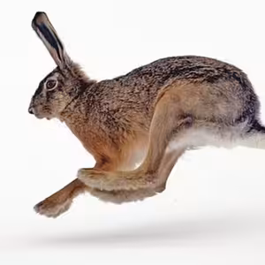 Díl šestý: Únor, měsíc sněhuláků