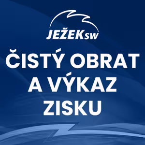 Čistý obrat a výkaz zisku a ztráty za rok 2024
