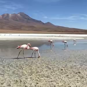 S4E13: BOLÍVIA - The džungľa