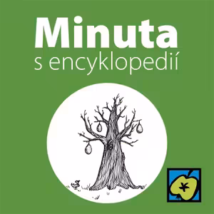 Novinářská kachna