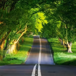 Dopoludnie na Infovojne s Adrianom 16.7.2025