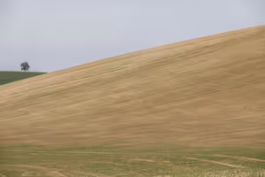 Poprvé v historii se pokusíme obnovit, co už jsme v přírodě zničili